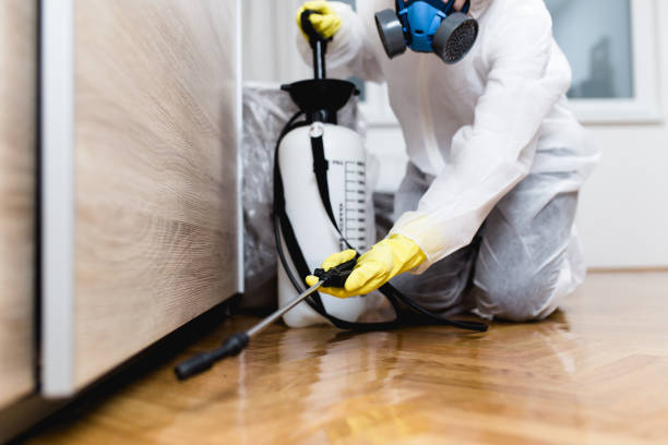 Trusted Denton, TX Pest Control Experts