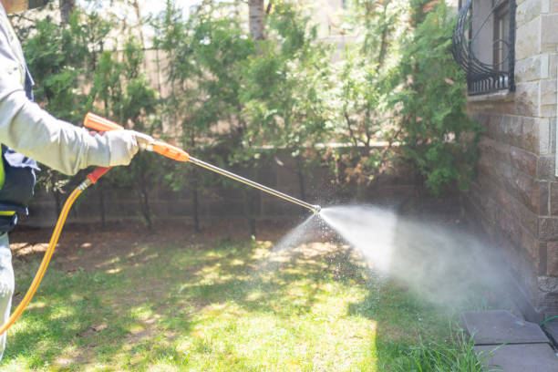 Best Insect Control  in Denton, TX