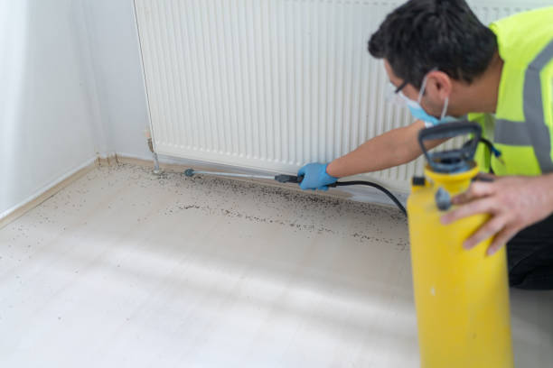 Best Cockroach Control Services  in Denton, TX